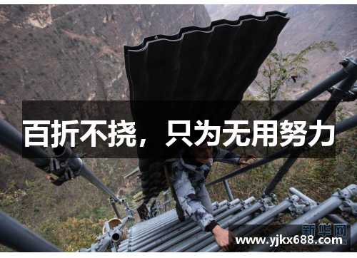 百折不挠，只为无用努力